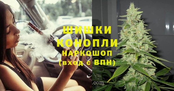 СК Козловка