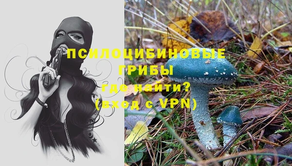 тгк Кодинск