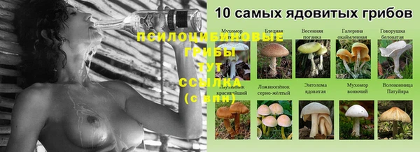 тгк Кодинск