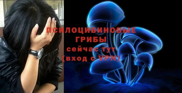mdpv Козельск